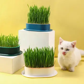 Гидропонная миска для проращивания Без запаха Лоток для выращивания травы Многоразовая Миска для проращивания домашних кошек Горшок для выращивания Горшок для проращивания Многоцелевой  5