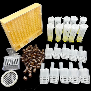 Комплект для выращивания маток Пластиковый защитный чехол для волосяного валика Клетка для защиты от укусов Пчелиная колония Расширит Яйцеклетку Apis Mellifera High Accept Box  5